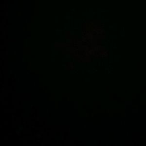 Meet your Posher, Abraham